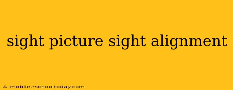 sight picture sight alignment