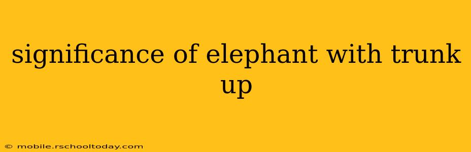 significance of elephant with trunk up