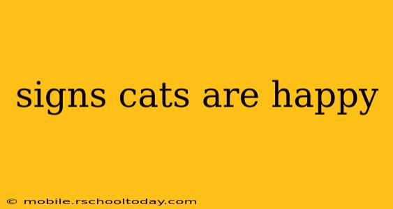 signs cats are happy