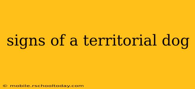 signs of a territorial dog