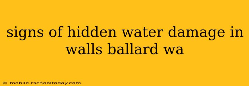 signs of hidden water damage in walls ballard wa