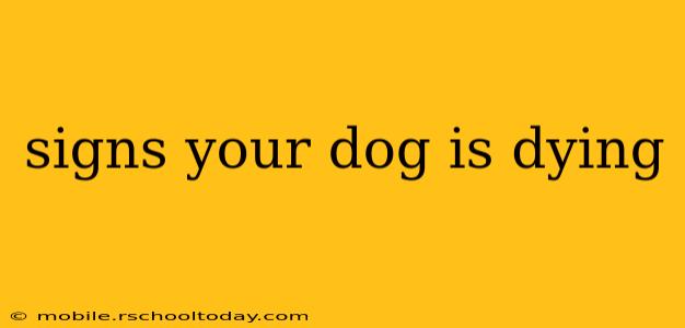 signs your dog is dying