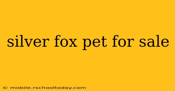 silver fox pet for sale