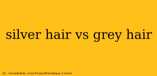 silver hair vs grey hair