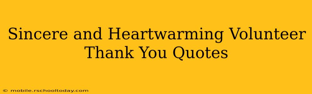 Sincere and Heartwarming Volunteer Thank You Quotes