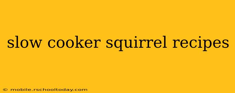 slow cooker squirrel recipes