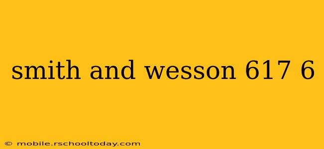 smith and wesson 617 6