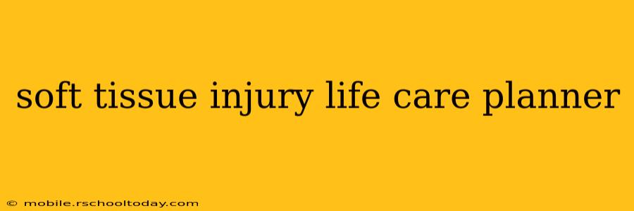 soft tissue injury life care planner