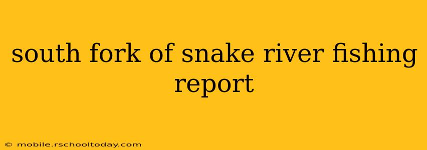 south fork of snake river fishing report
