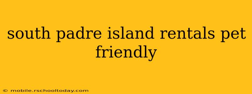 south padre island rentals pet friendly
