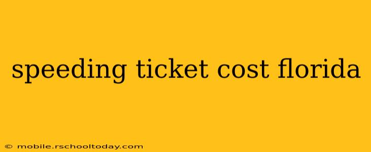 speeding ticket cost florida