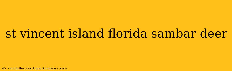 st vincent island florida sambar deer