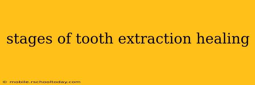 stages of tooth extraction healing