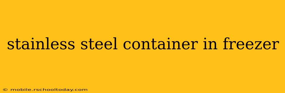 stainless steel container in freezer