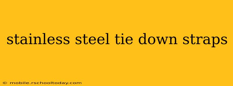 stainless steel tie down straps