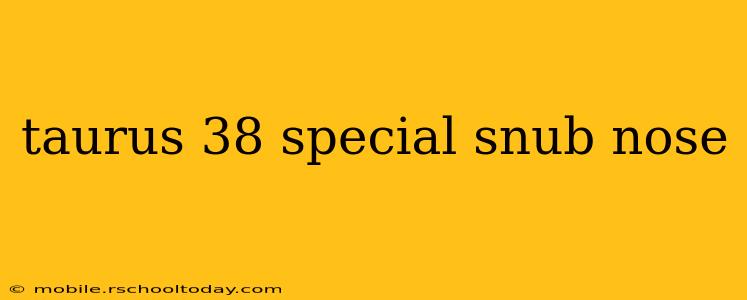 taurus 38 special snub nose