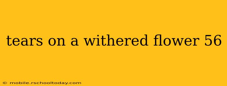 tears on a withered flower 56