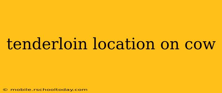 tenderloin location on cow