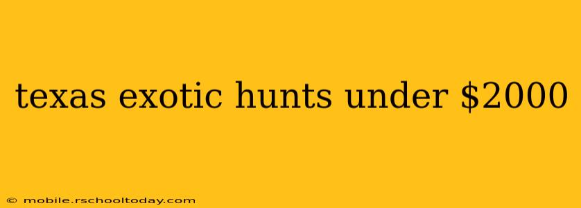 texas exotic hunts under $2000