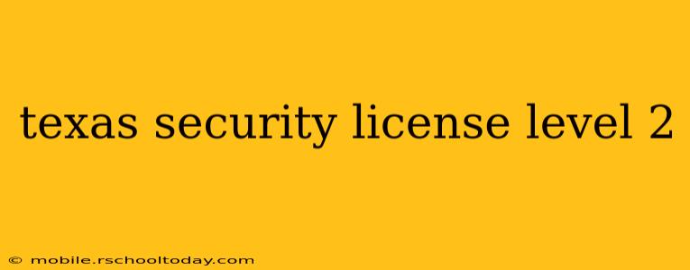 texas security license level 2