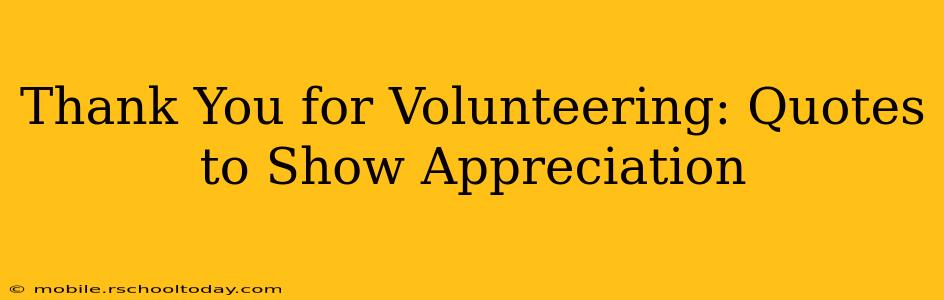 Thank You for Volunteering: Quotes to Show Appreciation