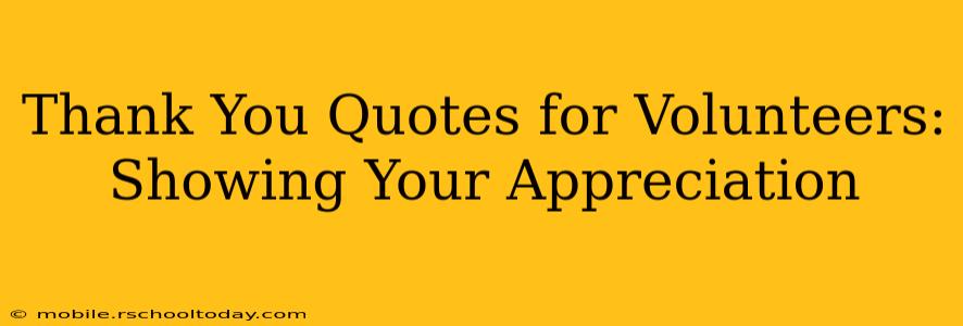 Thank You Quotes for Volunteers: Showing Your Appreciation