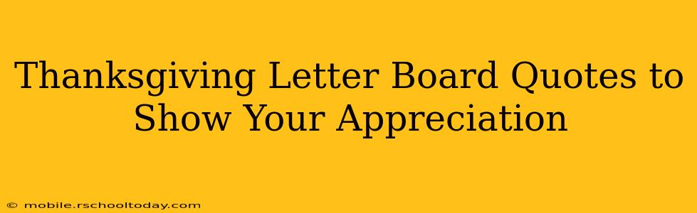 Thanksgiving Letter Board Quotes to Show Your Appreciation