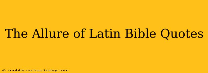 The Allure of Latin Bible Quotes
