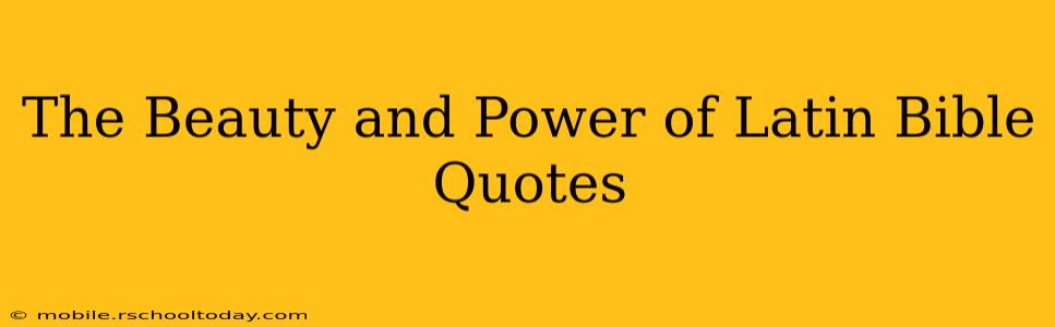 The Beauty and Power of Latin Bible Quotes