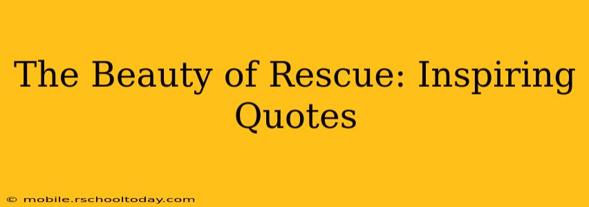 The Beauty of Rescue: Inspiring Quotes