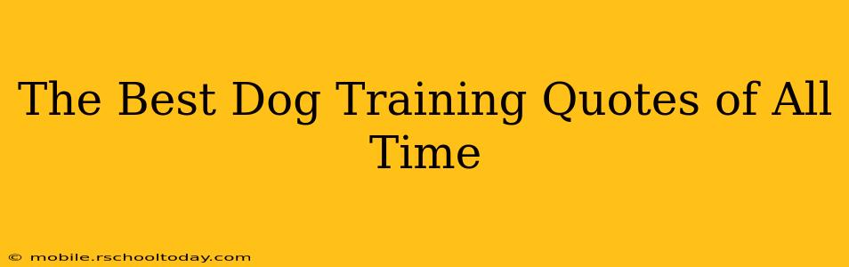 The Best Dog Training Quotes of All Time