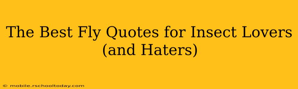 The Best Fly Quotes for Insect Lovers (and Haters)