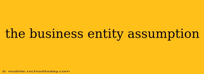 the business entity assumption