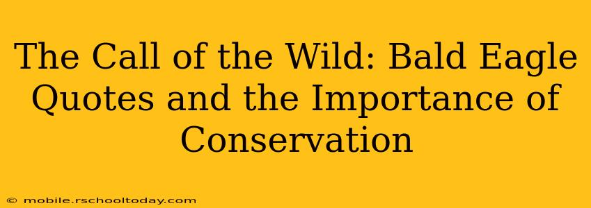 The Call of the Wild: Bald Eagle Quotes and the Importance of Conservation