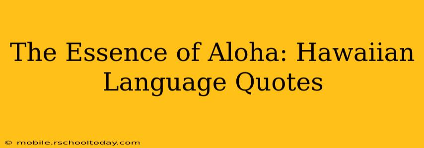 The Essence of Aloha: Hawaiian Language Quotes