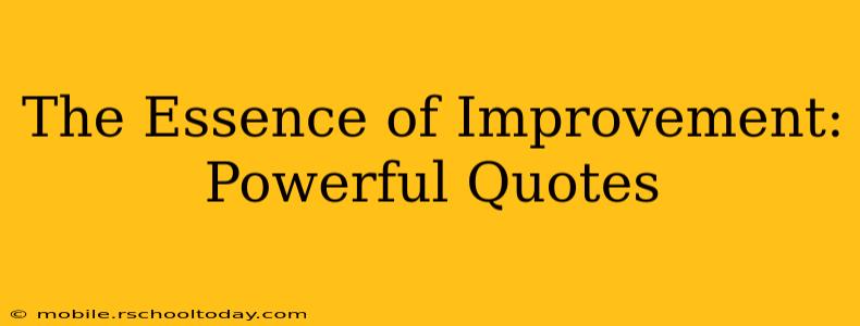 The Essence of Improvement: Powerful Quotes