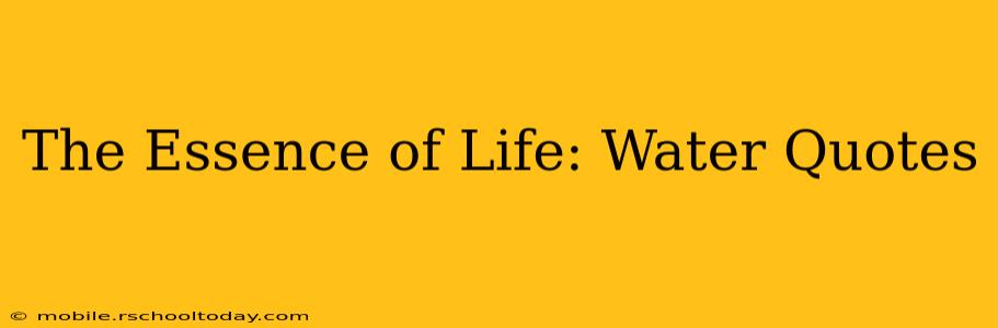 The Essence of Life: Water Quotes