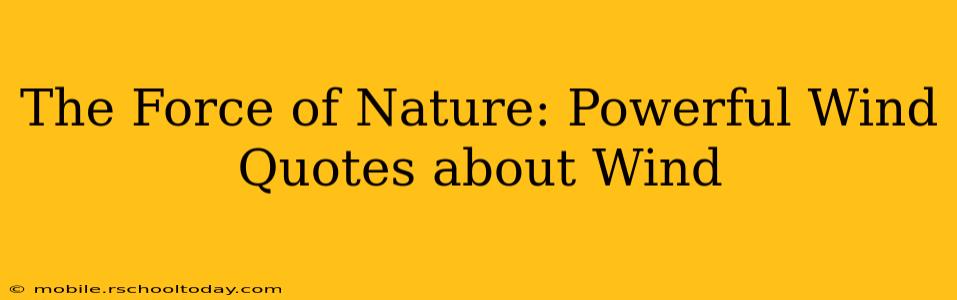 The Force of Nature: Powerful Wind Quotes about Wind