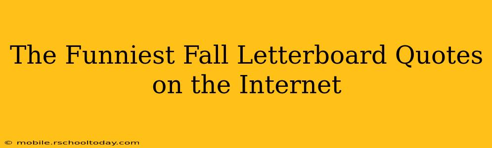 The Funniest Fall Letterboard Quotes on the Internet