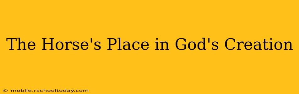 The Horse's Place in God's Creation