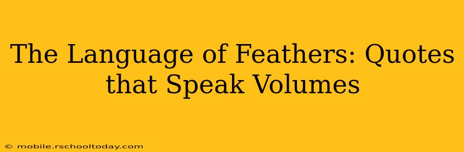 The Language of Feathers: Quotes that Speak Volumes