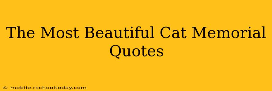 The Most Beautiful Cat Memorial Quotes