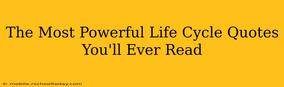 The Most Powerful Life Cycle Quotes You'll Ever Read