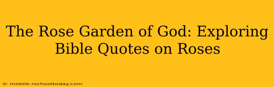 The Rose Garden of God: Exploring Bible Quotes on Roses