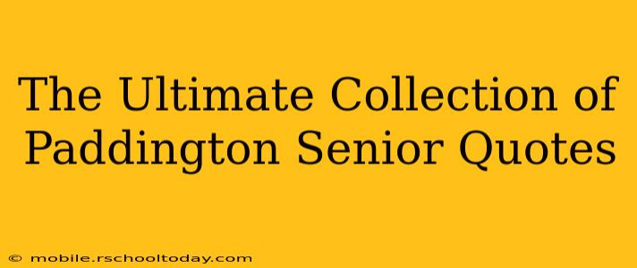 The Ultimate Collection of Paddington Senior Quotes