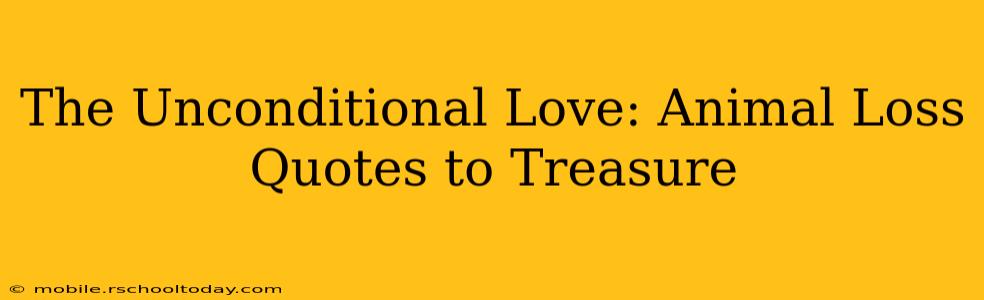 The Unconditional Love: Animal Loss Quotes to Treasure