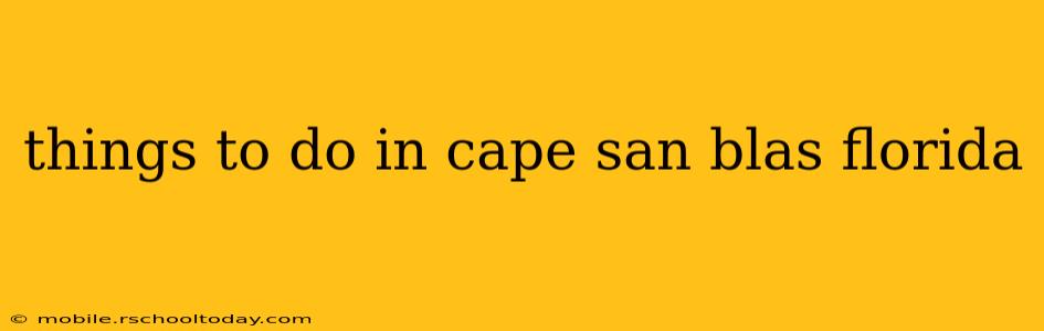 things to do in cape san blas florida