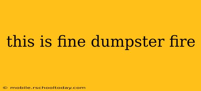 this is fine dumpster fire