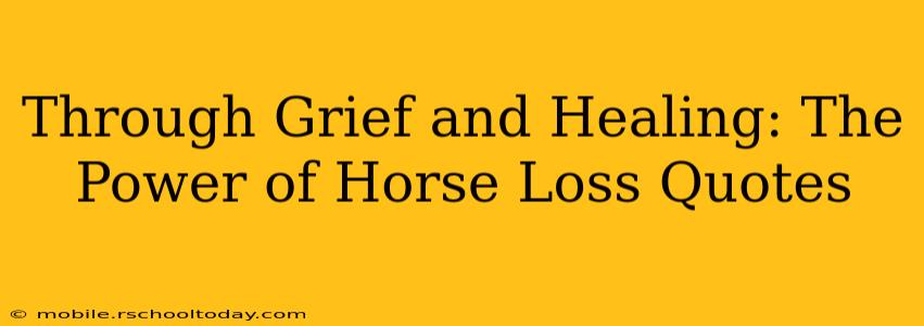 Through Grief and Healing: The Power of Horse Loss Quotes