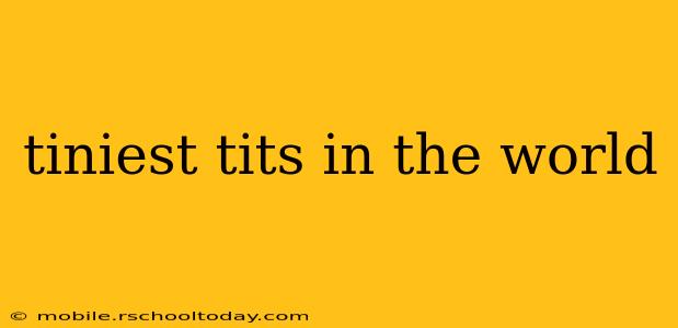 tiniest tits in the world tiniest tits in the world